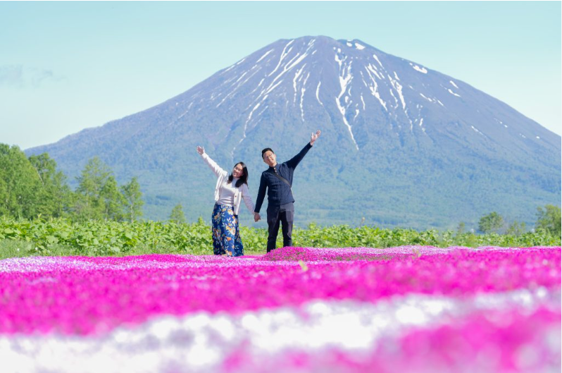 羊蹄山を背景にしたひまわり畑のカップル